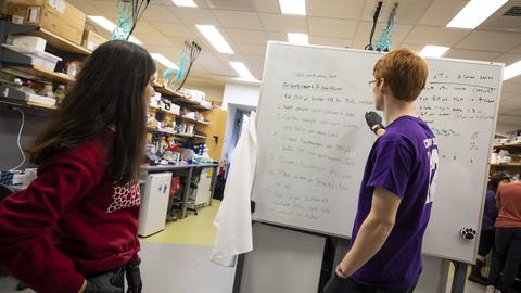 Two people in a workroom standing in front of a whiteboard, one writing and one observing.