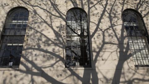 Exterior of building with bay windows covered with tree shadows.