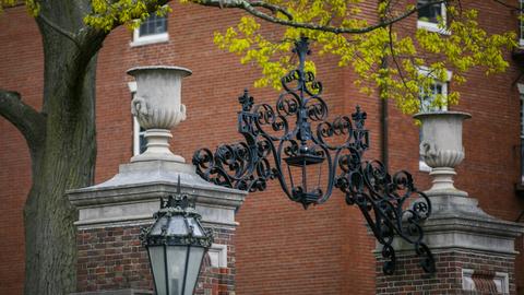 View of an ornate gate framed by a tree trunk and branch with new leaves and a brick building in the background.