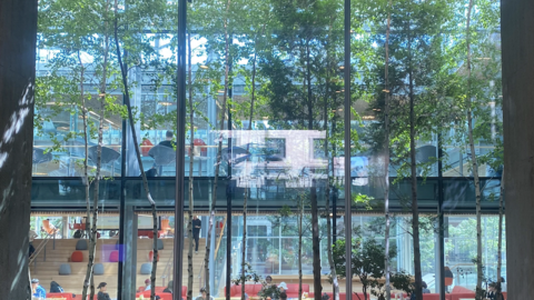 a view through a window from the Smith Campus Center