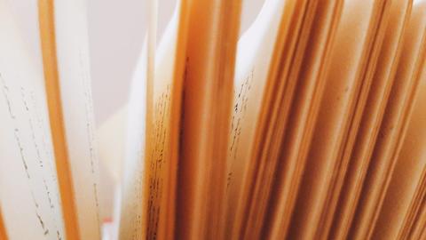 File folders with papers