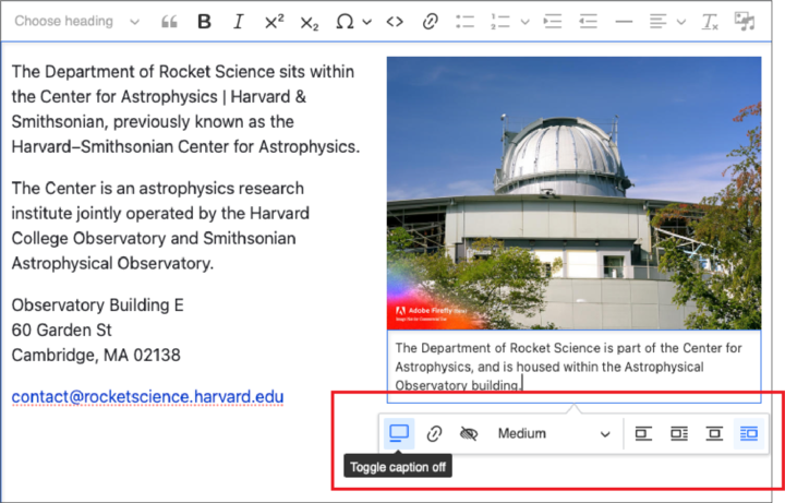 Screenshot of the text editor showing a text block on the left and an image on the right with the image selected and the image formatting toolbar outlined.