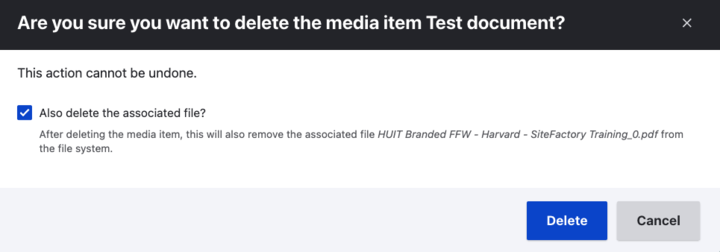 a modal prompting the user to delete the media entity and associated file